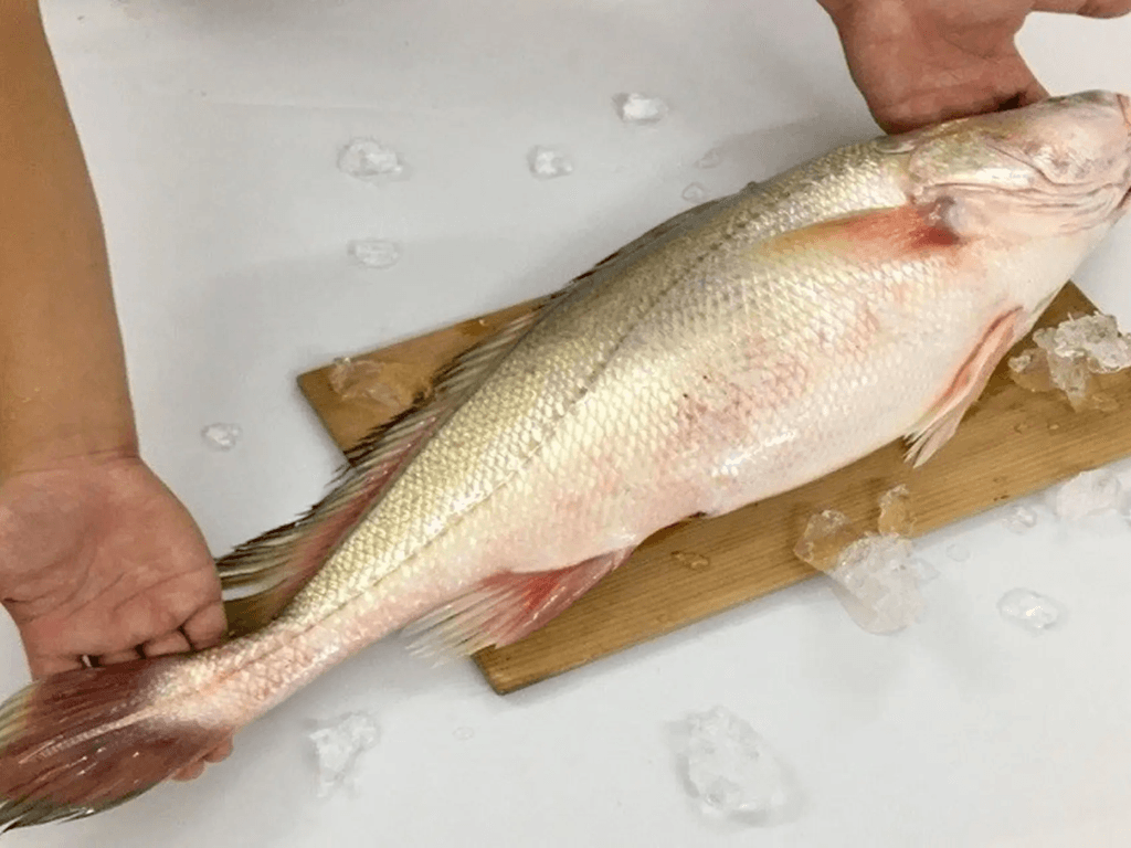 luu-y-khi-chon-va-so-che-ca-suu