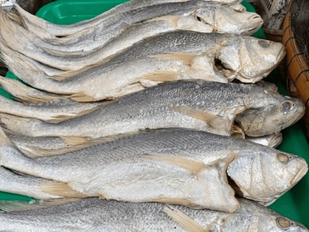 gioi-thieu-ve-ca-suu-va-gia-tri-dinh-duong