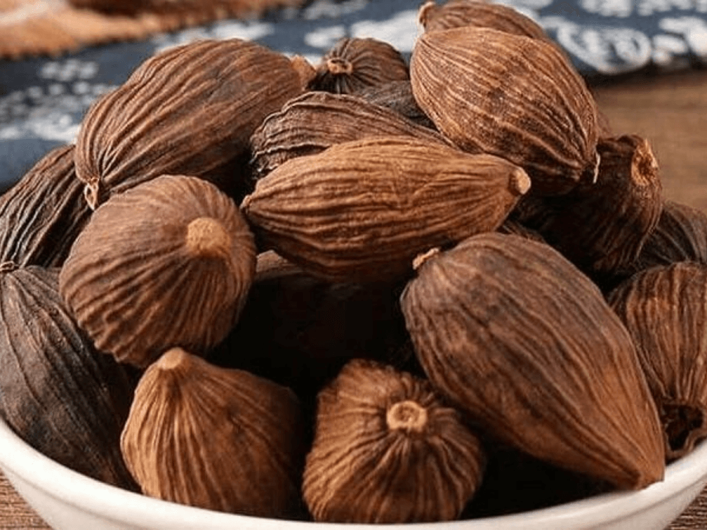 huong-dan-trong-va-cham-soc-cay-chieu-lieu-de-phat-huy-y-nghia-phong-thuy