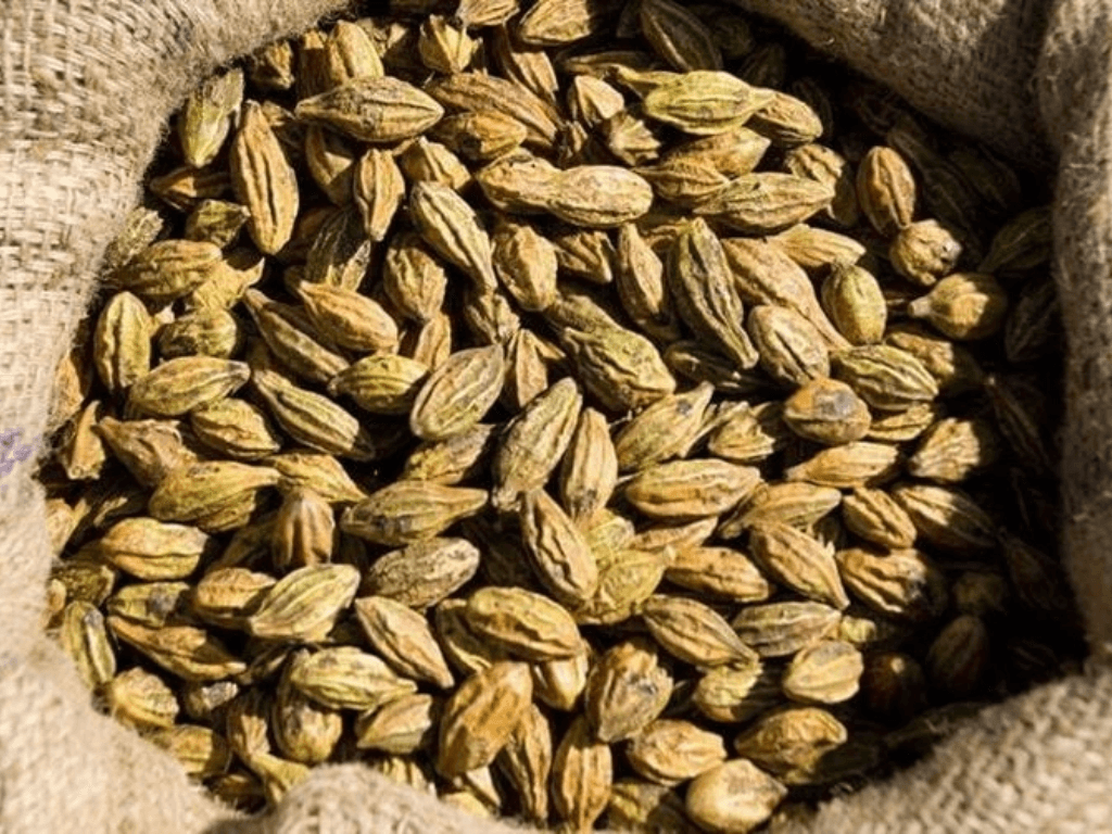 tac-dung-cua-cay-chieu-lieu-trong-doi-song-va-suc-khoe