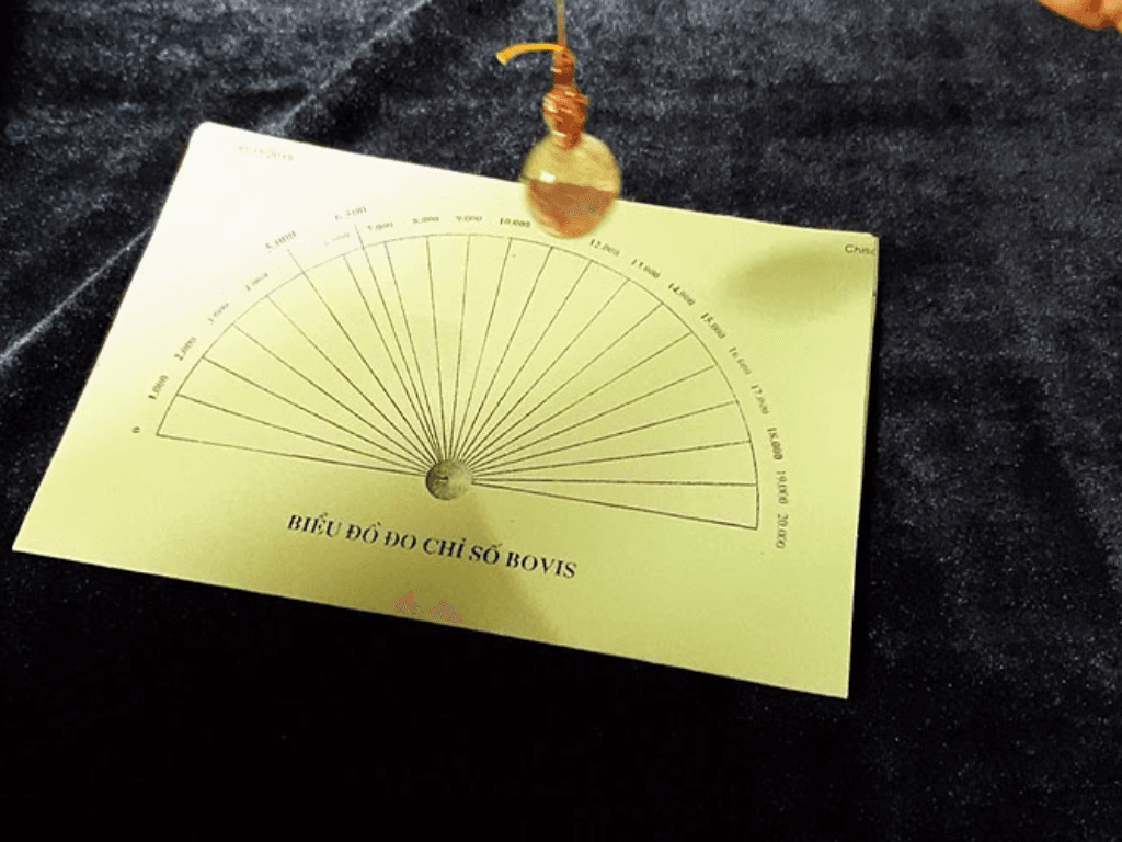 gioi-thieu-ve-chi-so-bovis