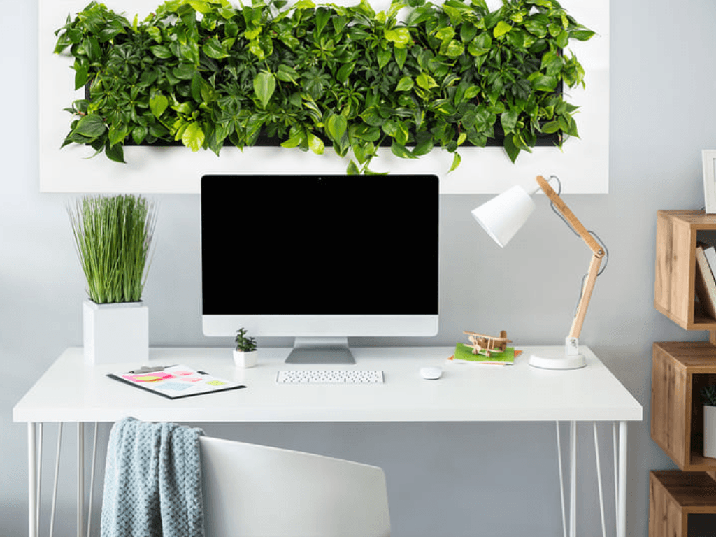 tieu-chi-chon-cay-de-ban-phu-hop-voi-menh-kim