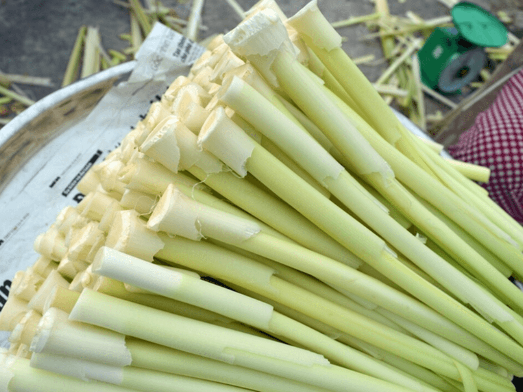 gioi-thieu-ve-bon-bon-va-gia-tri-dinh-duong