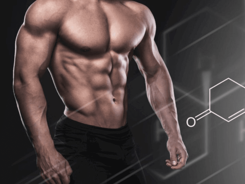 tac-dung-cua-glutamine-doi-voi-co-bap