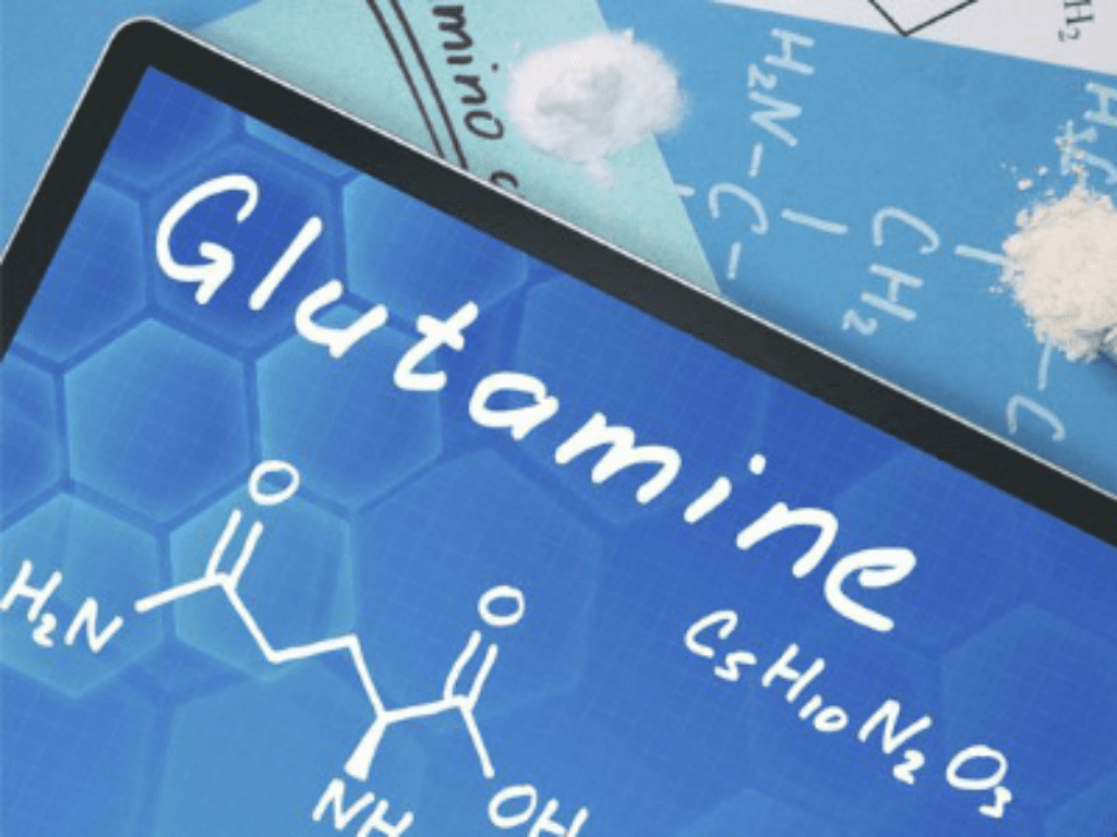 tac-dung-cua-glutamine-doi-voi-he-mien-dich