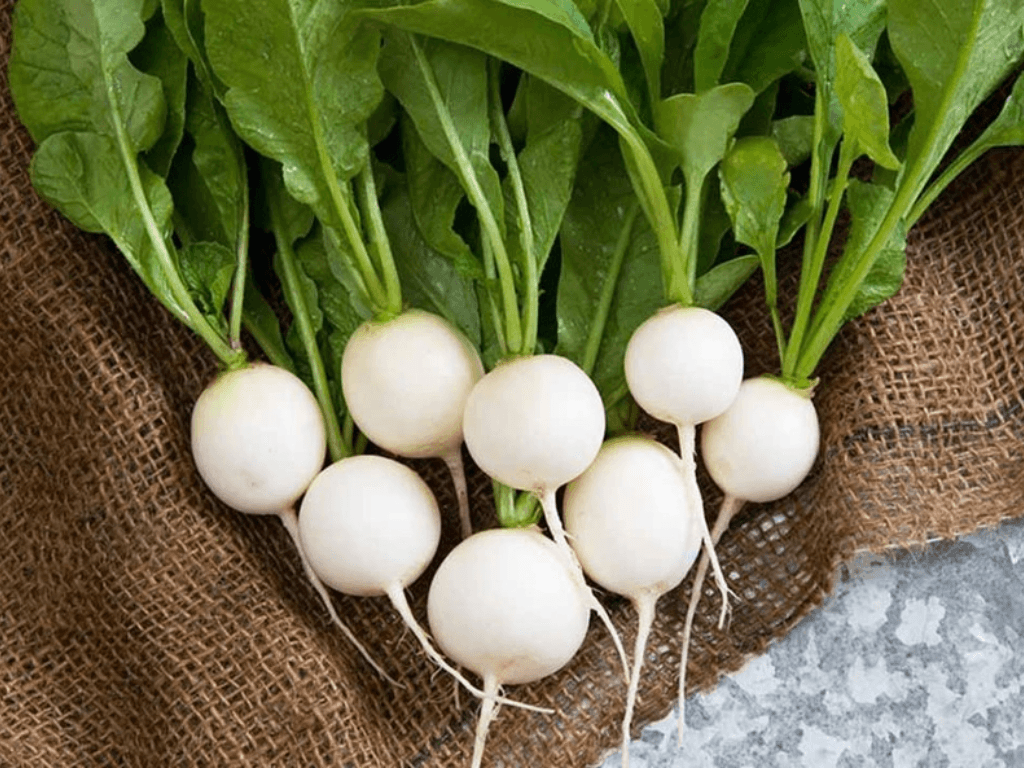 kha-nang-thanh-loc-co-the-va-giai-doc-cua-cu-cai-trang