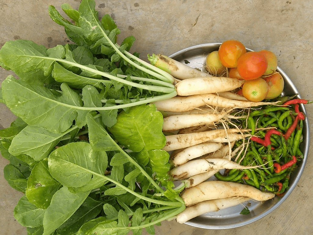 cac-loi-ich-suc-khoe-khac-cua-cu-cai-trang