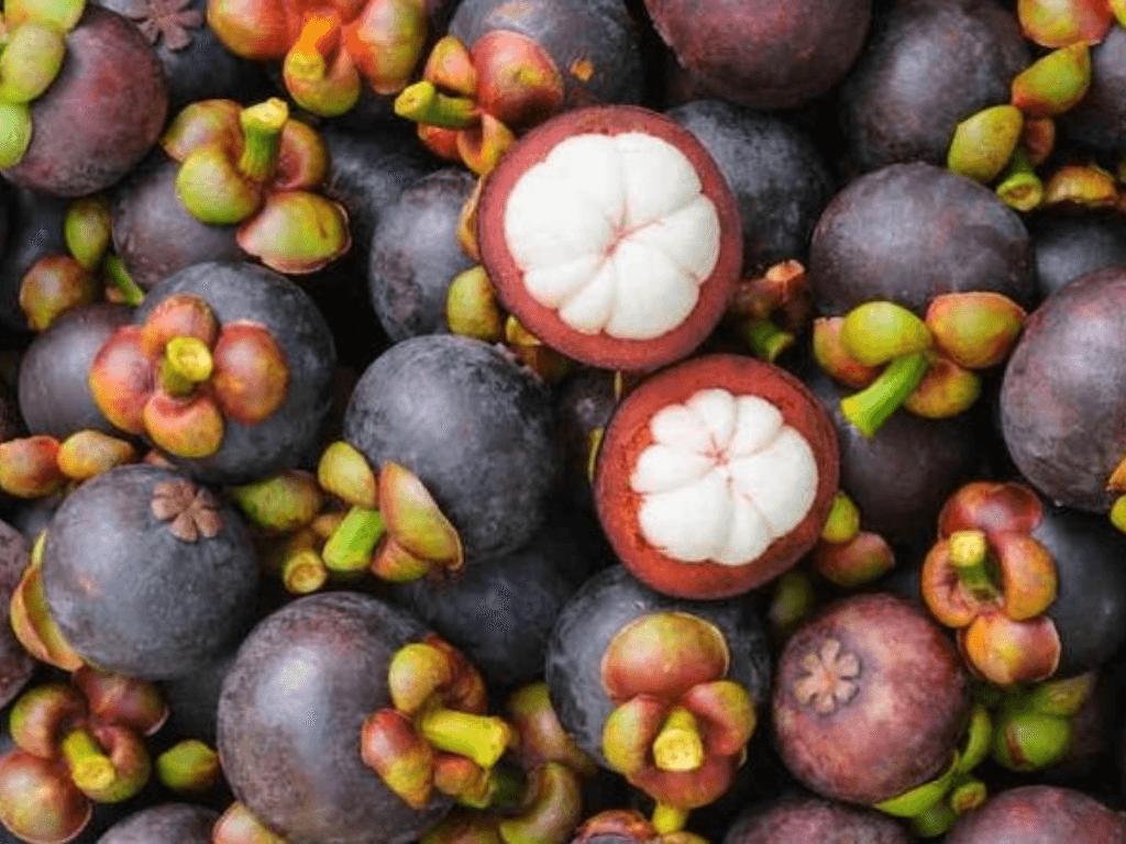 thu-hoach-va-bao-quan-trai-mang-cut