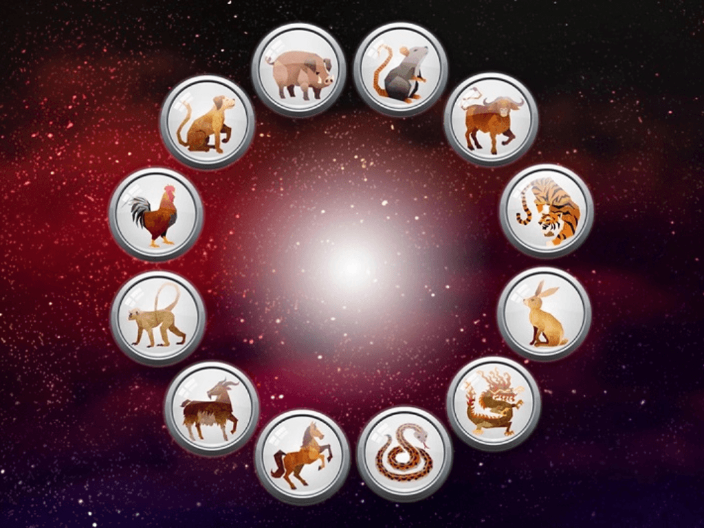 moi-lien-he-giua-dia-chi-va-12-con-giap