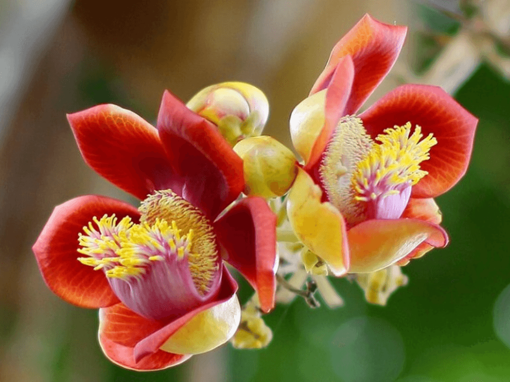goc-nhin-phong-thuy-va-khoa-hoc