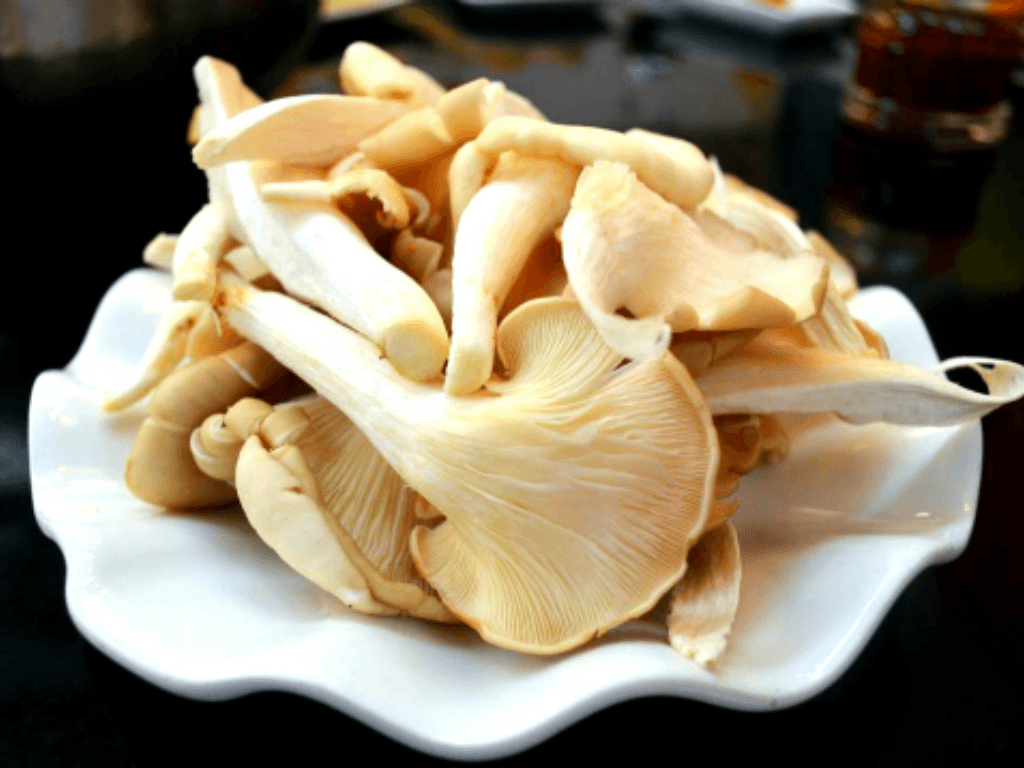 meo-tang-nang-suat-va-phong-tranh-rui-ro