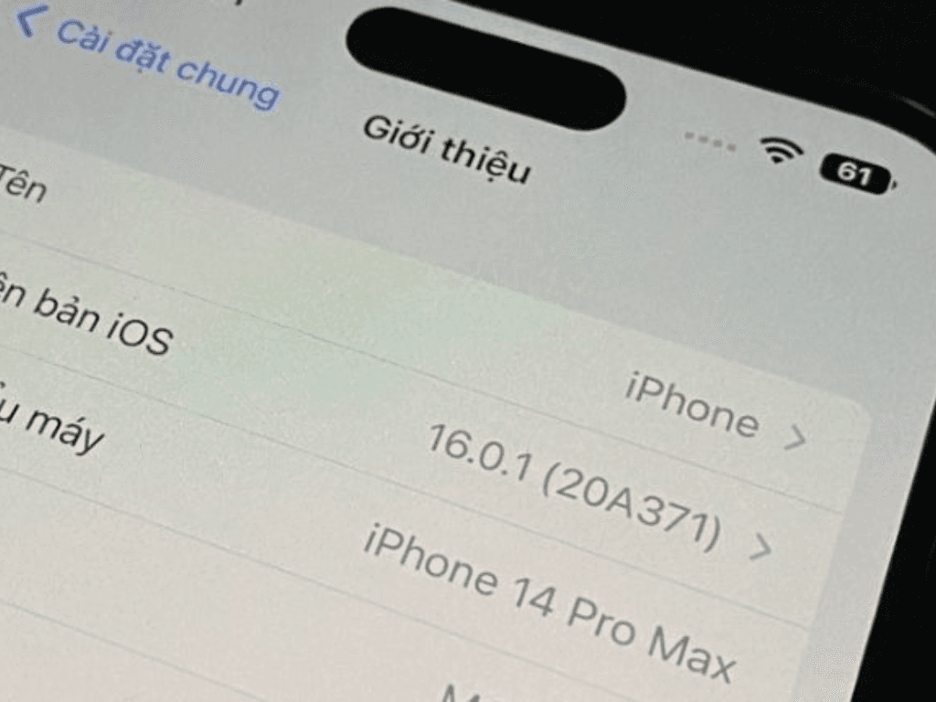 khi-nao-can-mang-iphone-di-kiem-tra