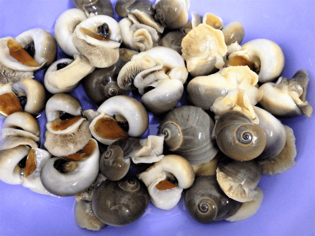 so-che-oc-va-cac-nguyen-lieu-di-kem