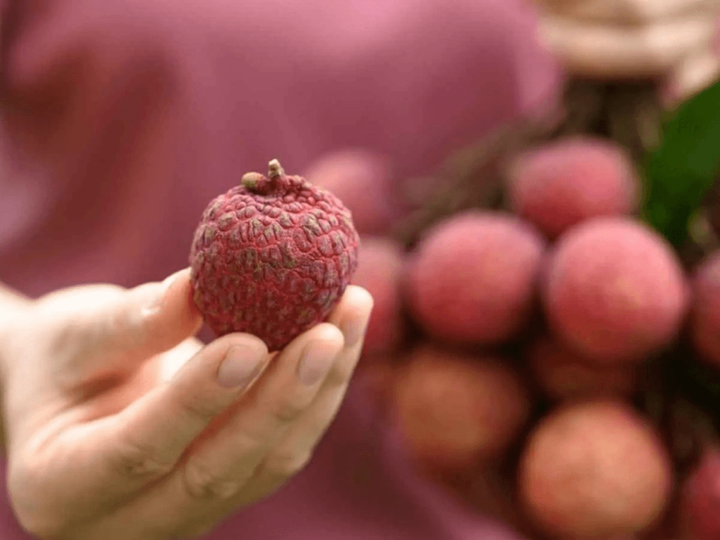 bau-co-an-duoc-vai-khong-giai-dap-tu-chuyen-gia