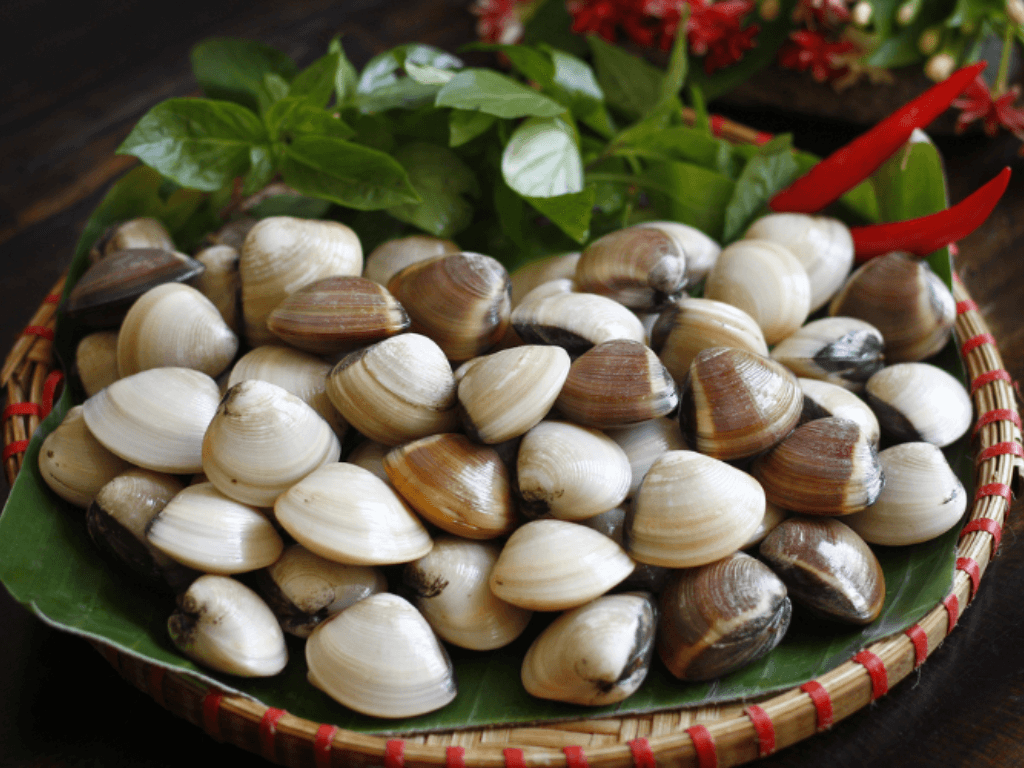 chuan-bi-ngao-sach-va-hoa-thien-ly-tuoi