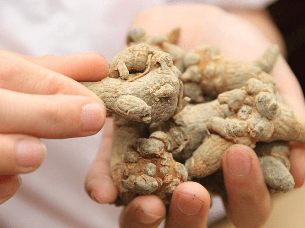 dung-tam-that-can-kieng-gi-trong-thoi-quen-sinh-hoat