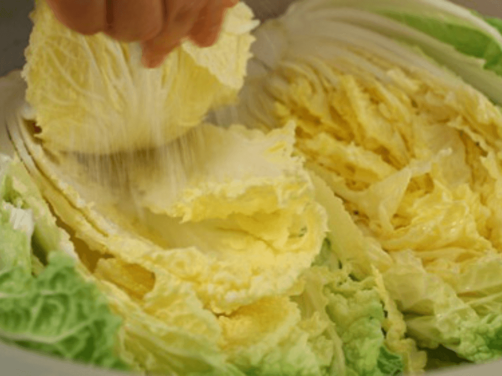 so-che-cai-thao-va-chuan-bi-gia-vi