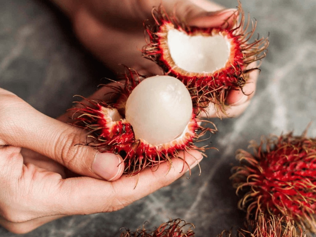 an-chom-chom-co-gay-nong-trong-va-noi-mun-khong