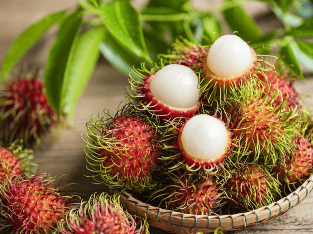 luong-chom-chom-an-toan-cho-me-bau