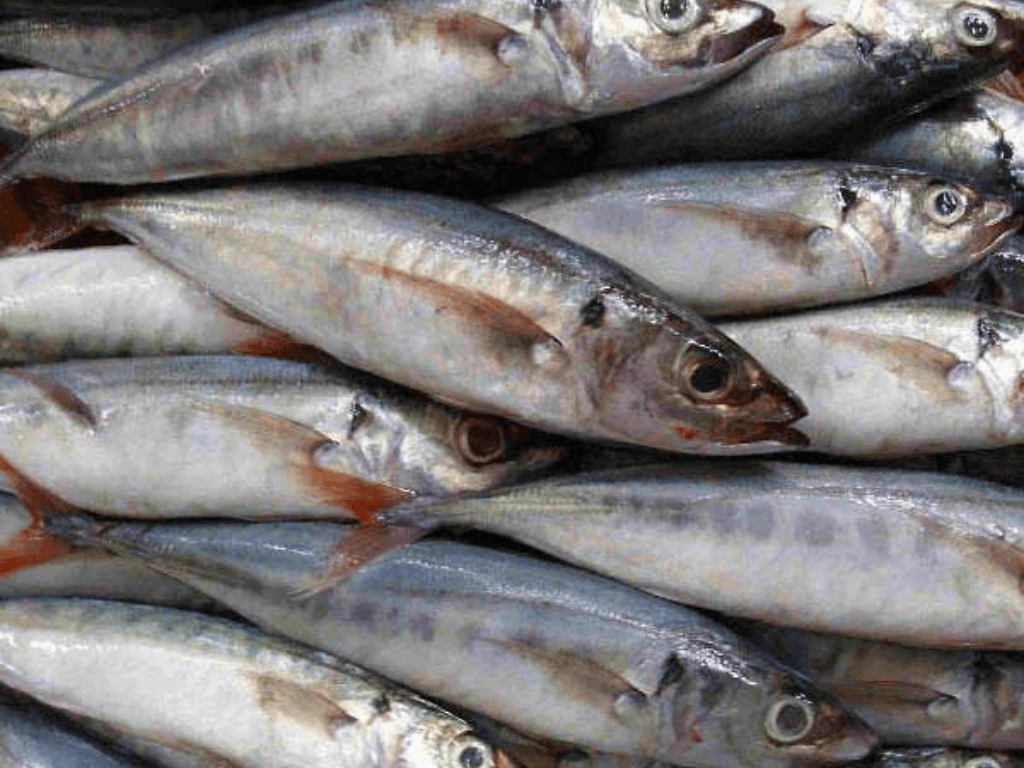 ca-nuc-bong-nguyen-lieu-dan-da-ma-giau-dinh-duong