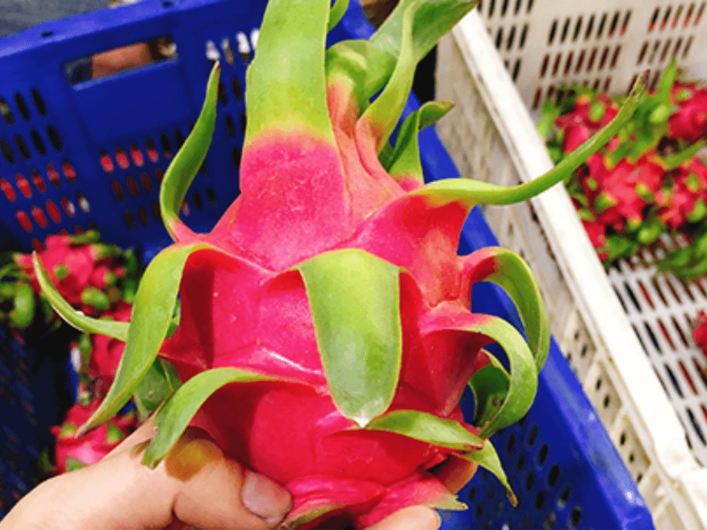 nguyen-lieu-can-chuan-bi-lam-nuoc-ep-trai-thanh-long