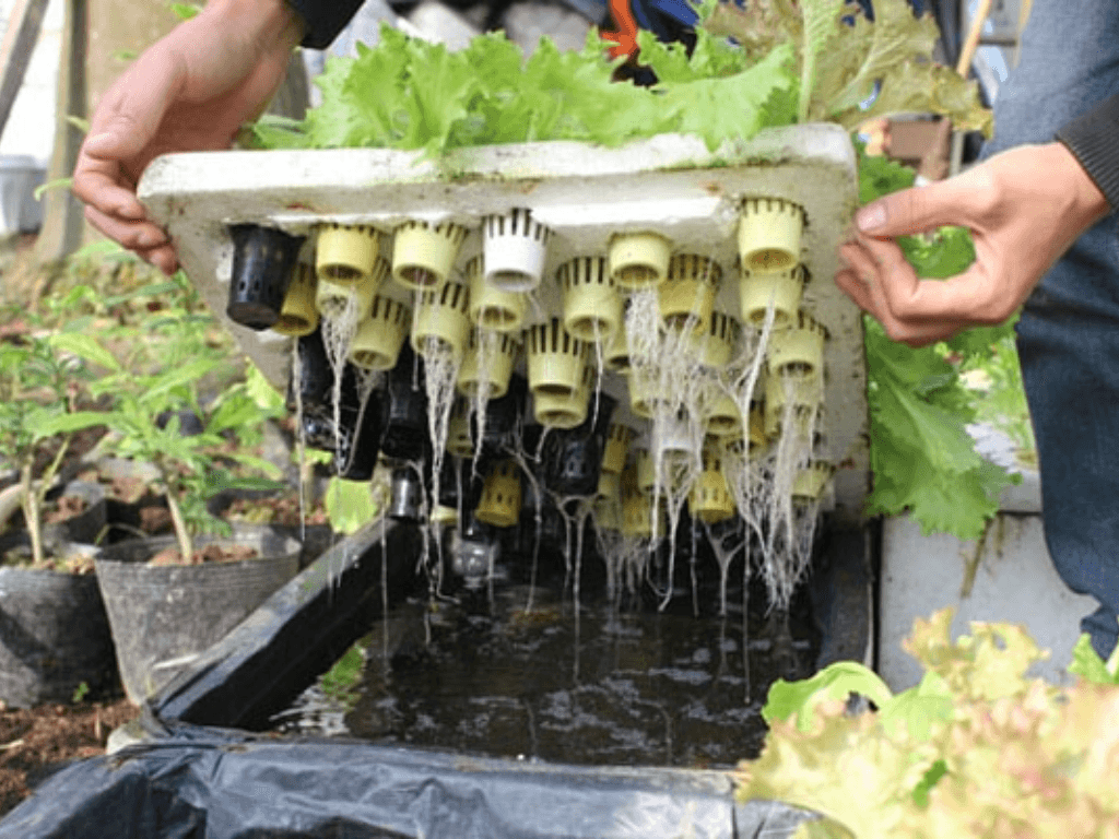 chuan-bi-dung-cu-va-vat-lieu-can-thiet