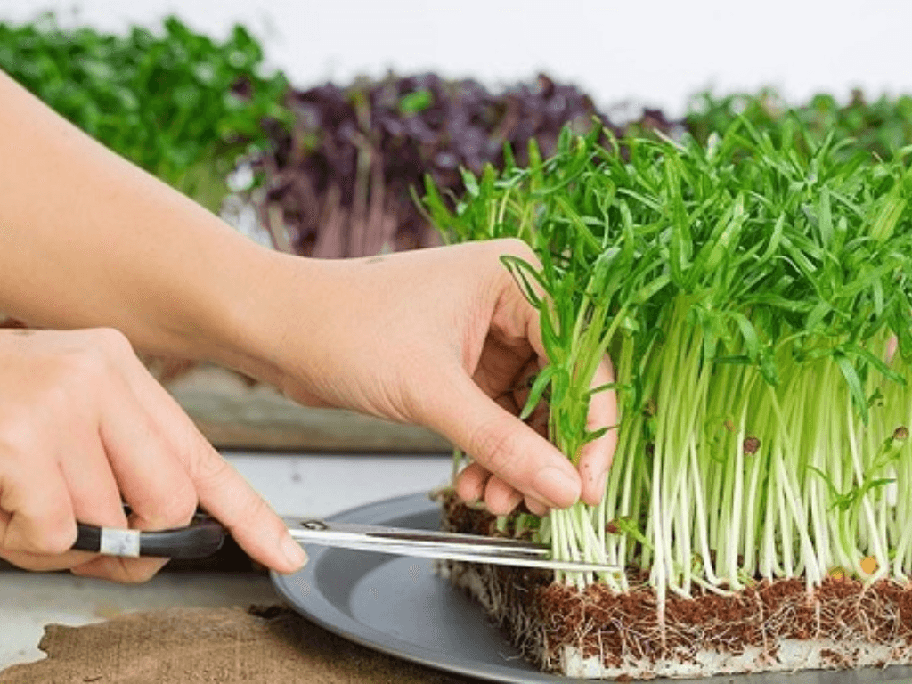 cach-cham-soc-va-duy-tri-do-am