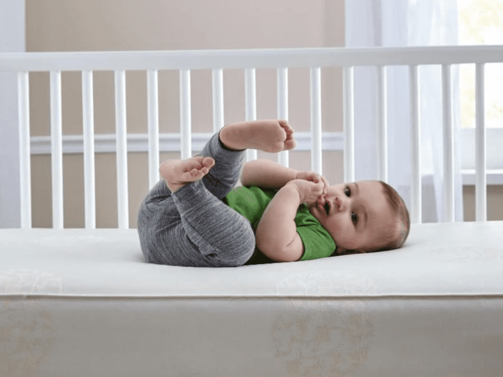 vi-sao-cha-me-ban-khoan-giua-noi-va-cui-go