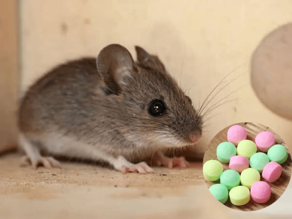 phuong-phap-hoa-hoc-va-thiet-bi-dien-tu