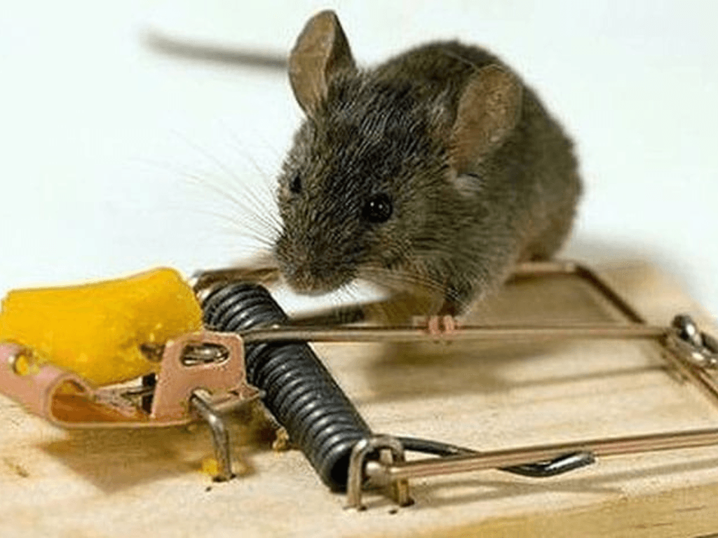 su-dung-bay-va-cong-cu-co-hoc