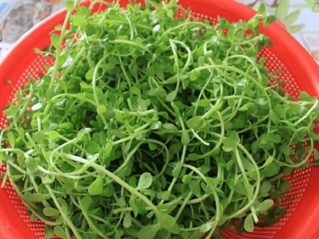 nguyen-lieu-can-chuan-bi-de-xao-rau-dang