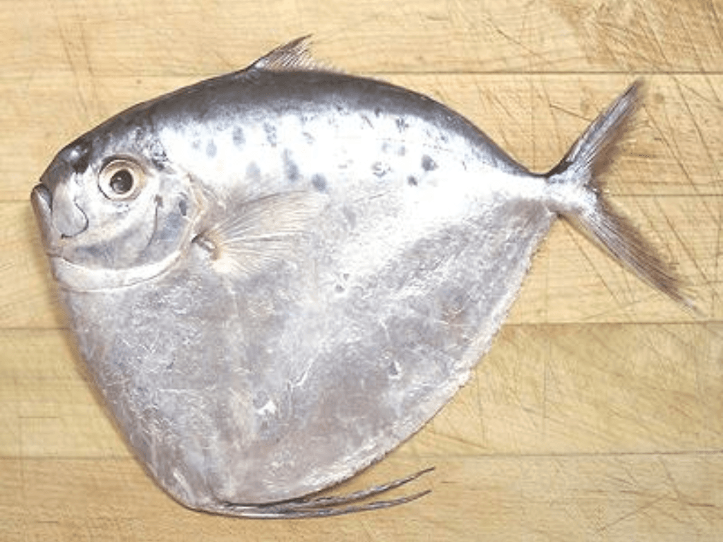 tim-hieu-ve-ca-banh-lai-va-dac-diem-thit-ca