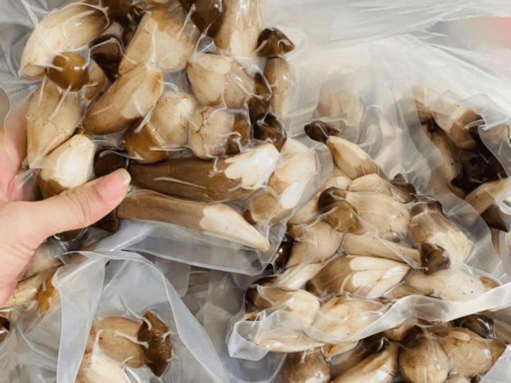 cac-cach-bao-quan-nam-moi-tuoi-lau