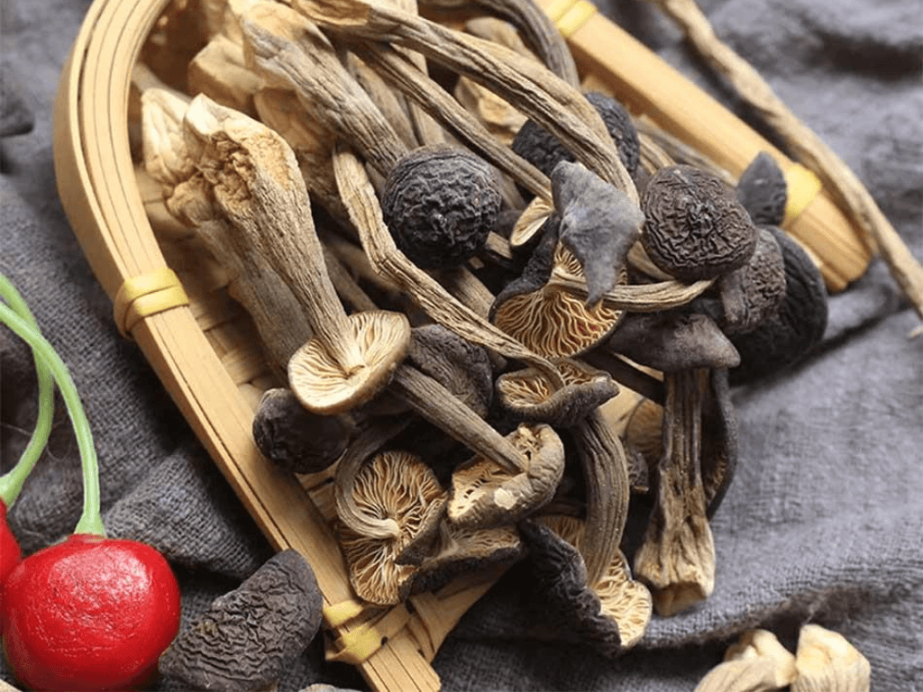 phuong-phap-bao-quan-nam-moi-lau-dai