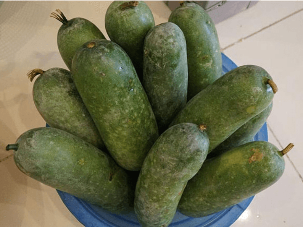 gioi-thieu-ve-bi-dao-va-ly-do-can-chon-dung