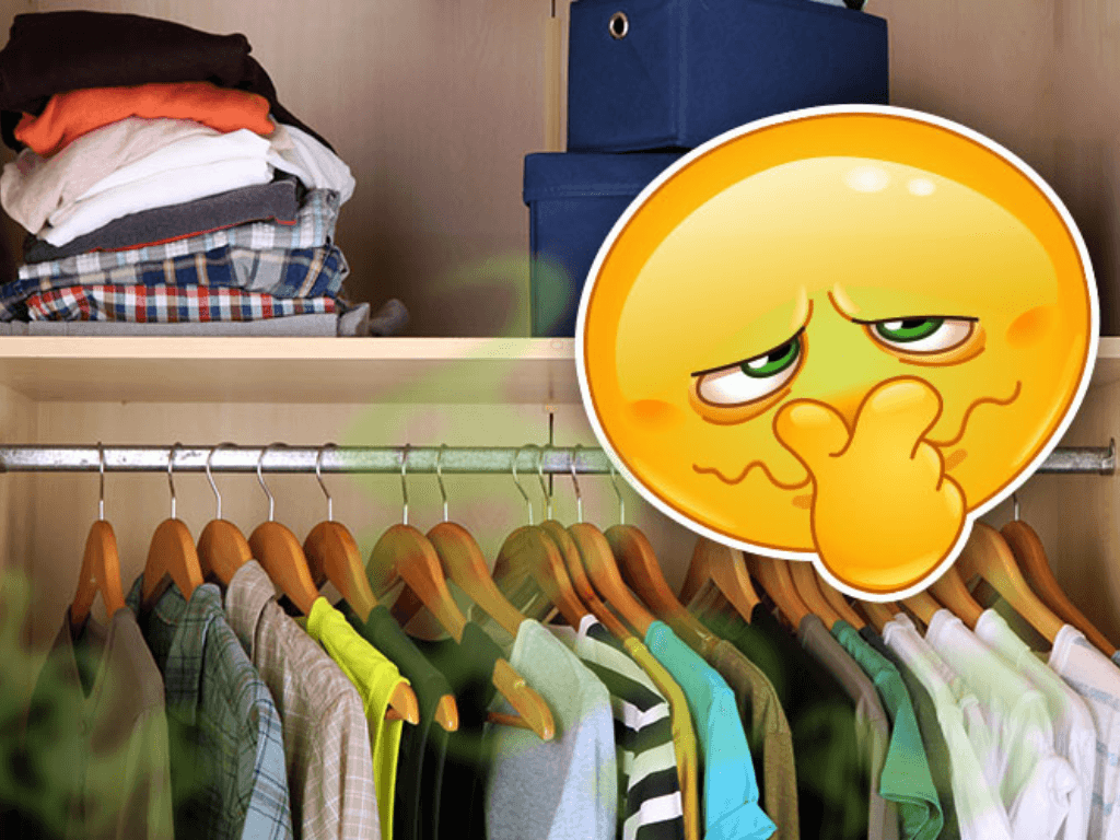 nguyen-nhan-khien-tu-quan-ao-xuat-hien-mui-hoi