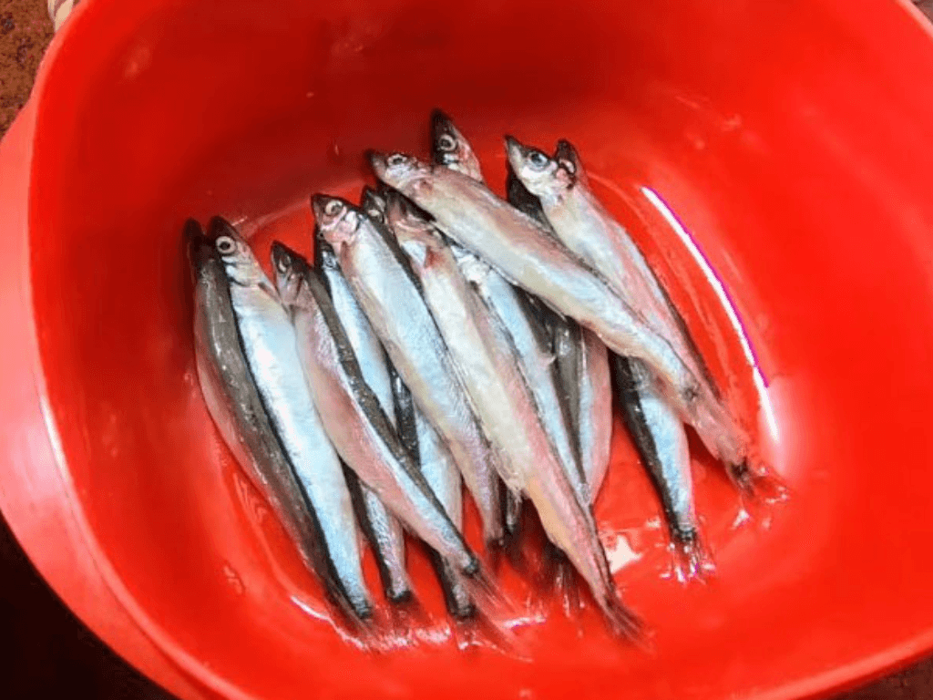 chuan-bi-ca-trung-tuoi-ngon