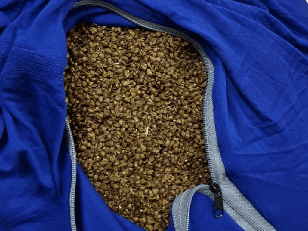 gioi-thieu-ve-goi-vo-do-va-su-pho-bien-hien-nay