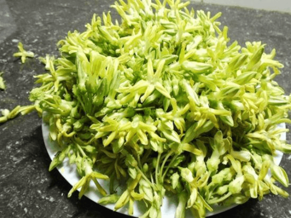 vi-sao-can-quan-tam-den-ky-trong-che-bien-hoa-thien-ly