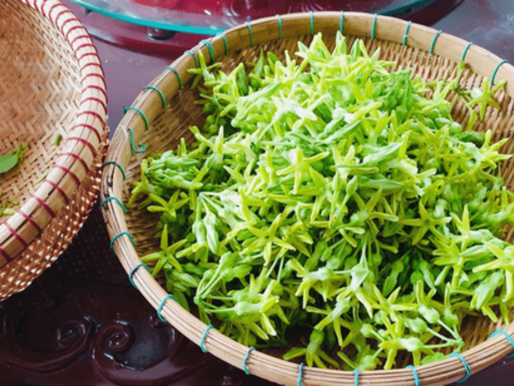 gioi-thieu-ve-hoa-thien-ly-va-gia-tri-am-thuc