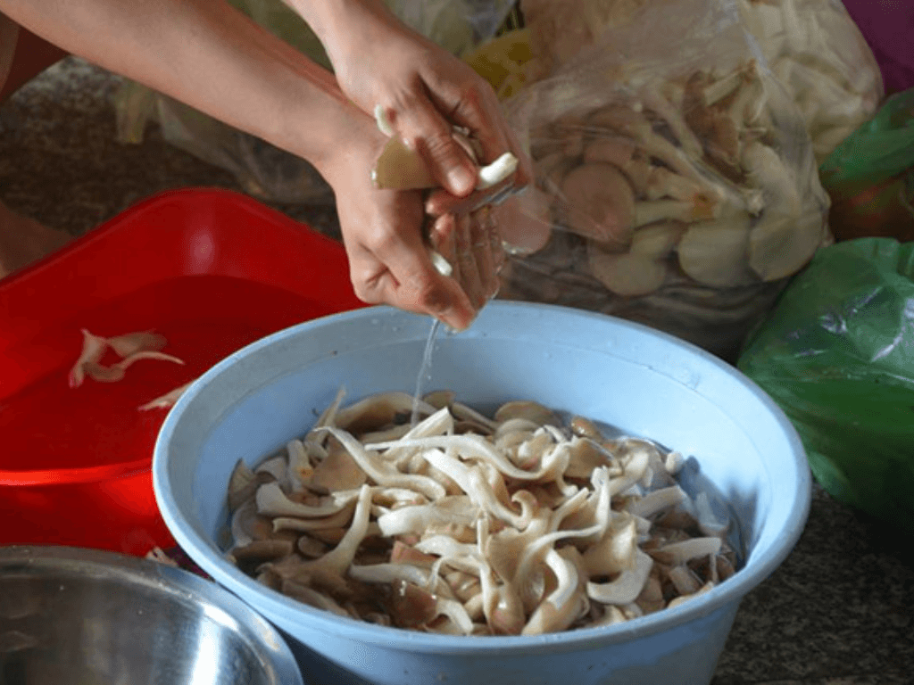 meo-chon-va-so-che-nam-bao-ngu-tuoi-ngon