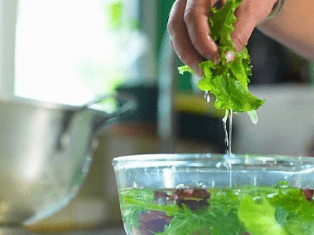huong-dan-cach-ngam-rau-song-bang-nuoc-muoi-dung-cach