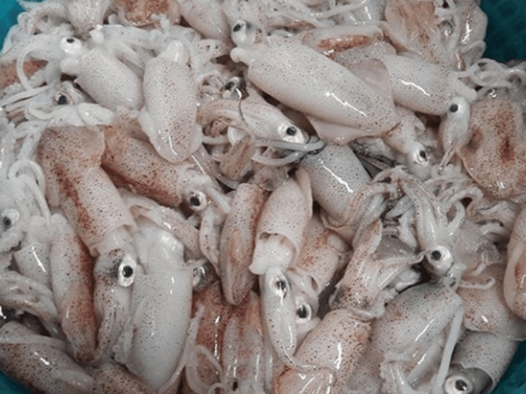 so-che-muc-va-cac-nguyen-lieu-di-kem