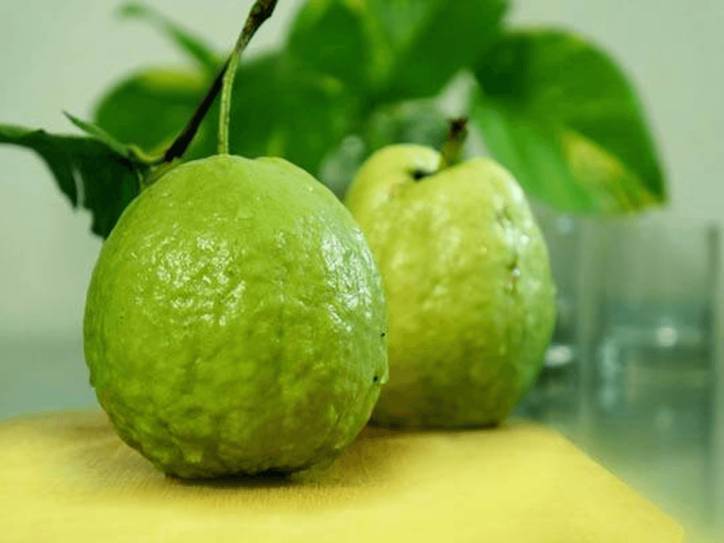 gia-tri-dinh-duong-noi-bat-cua-qua-oi