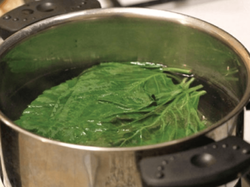 cach-su-dung-nuoc-la-tia-to-an-toan-va-hieu-qua