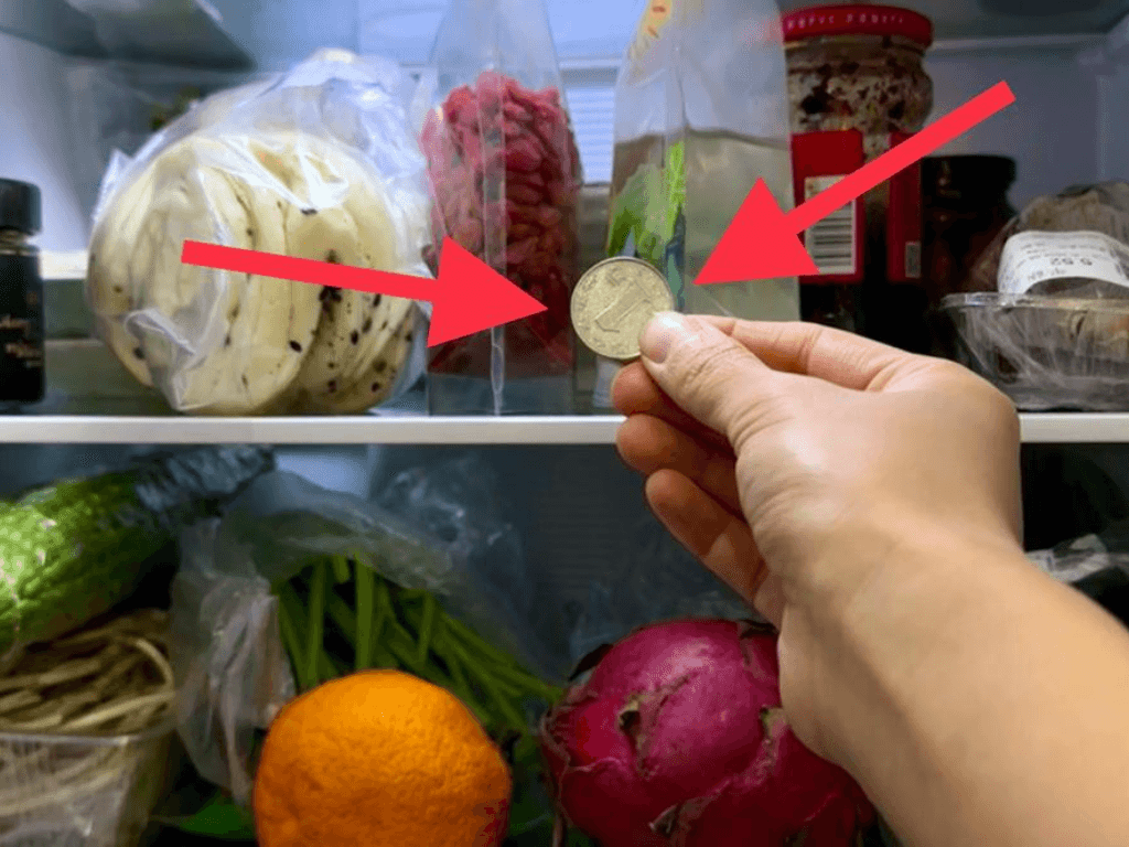 dat-dong-xu-trong-tu-lanh-co-tac-dung-gi