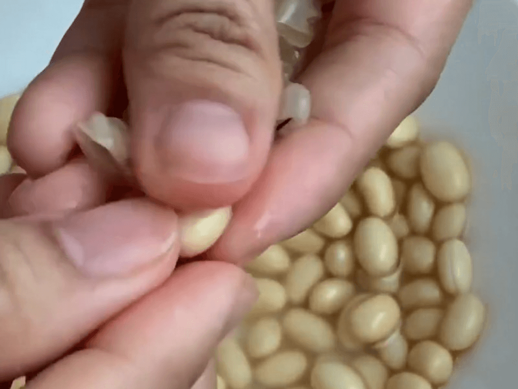 so-che-va-xu-ly-dau-van-de-hat-cang-tron