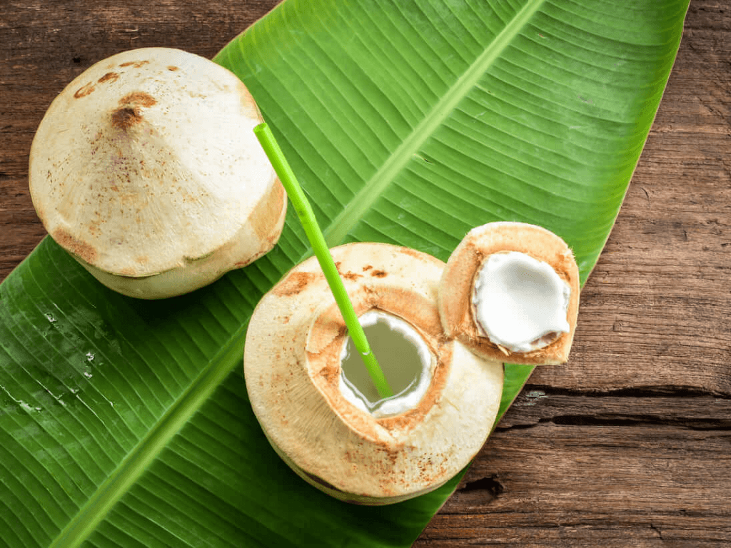 pha-che-nuoc-sot-khia-nuoc-dua