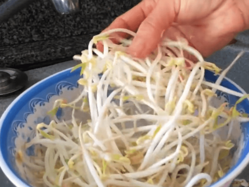 so-che-nguyen-lieu-va-meo-chon-thuc-pham-tuoi-ngon