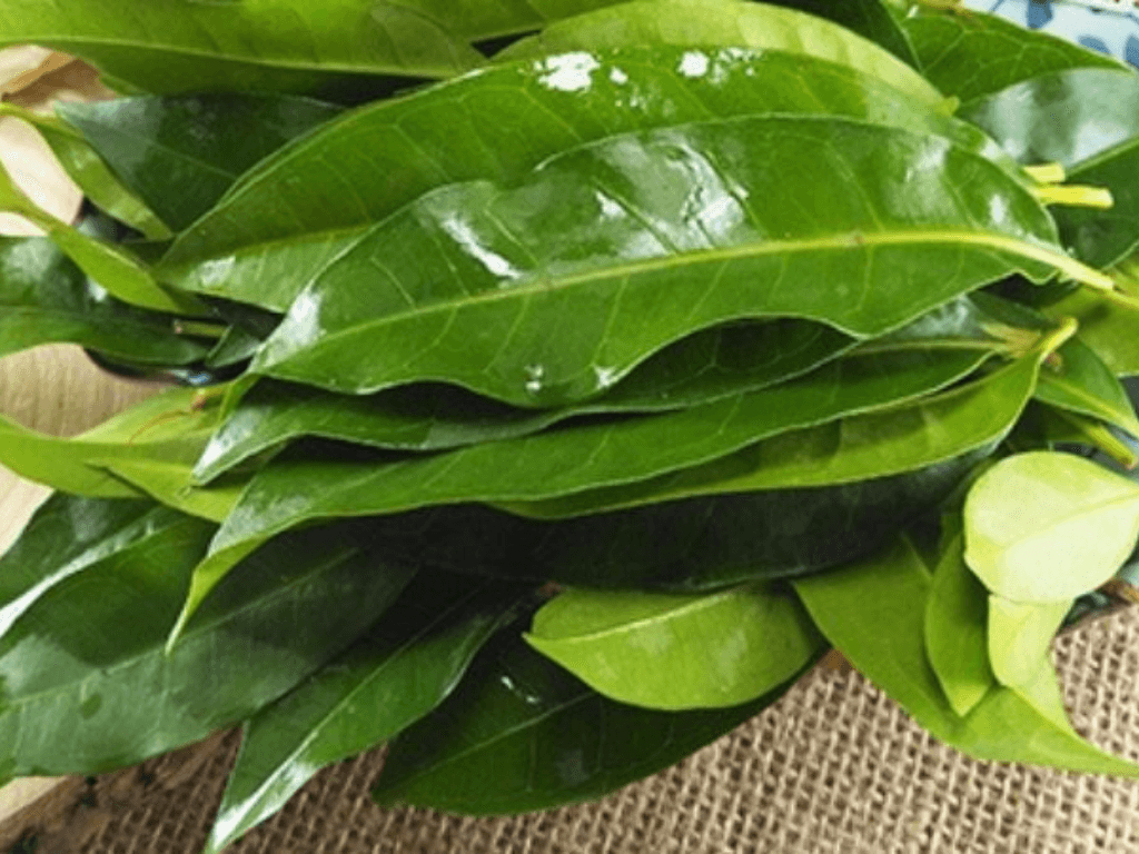 chuan-bi-nguyen-lieu-va-dung-cu-can-thiet